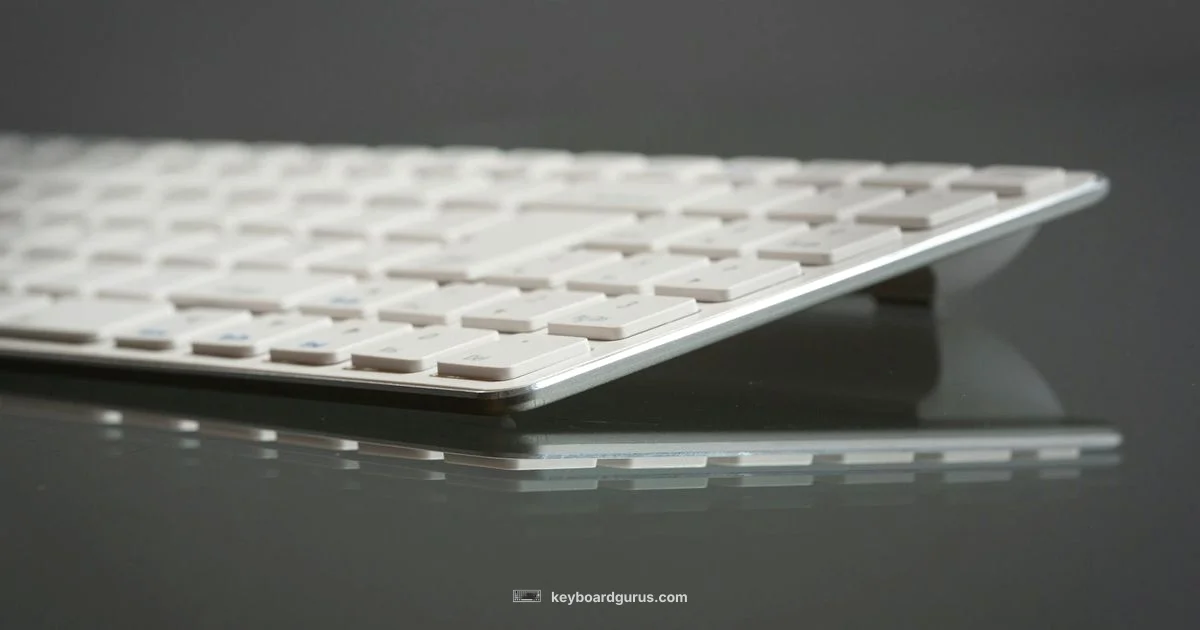 Zh870 Keyboard Guide - Keyboard Gurus