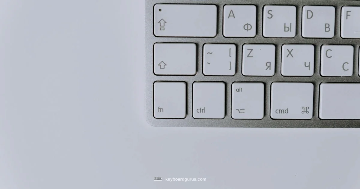 Layout Landscape - Keyboard Gurus