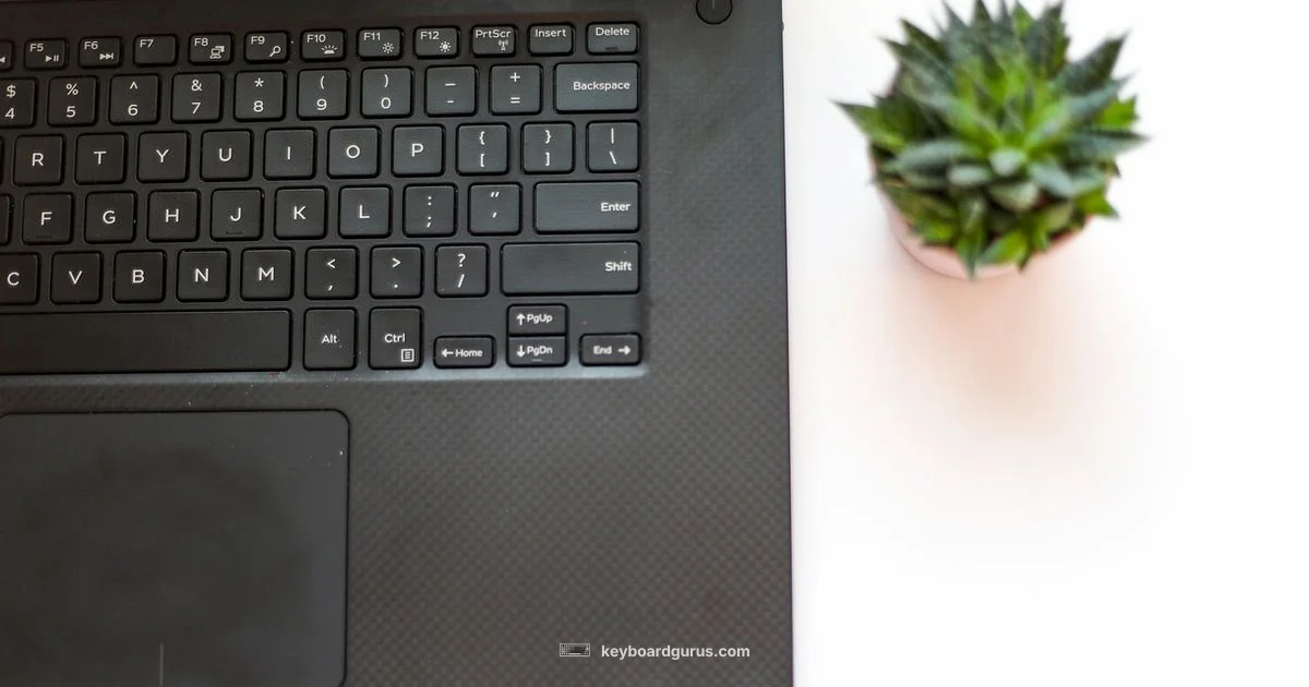 Feline Keyboard Guide - Keyboard Gurus