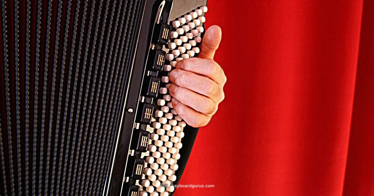Keyboard vs Button Accordion - Keyboard Gurus