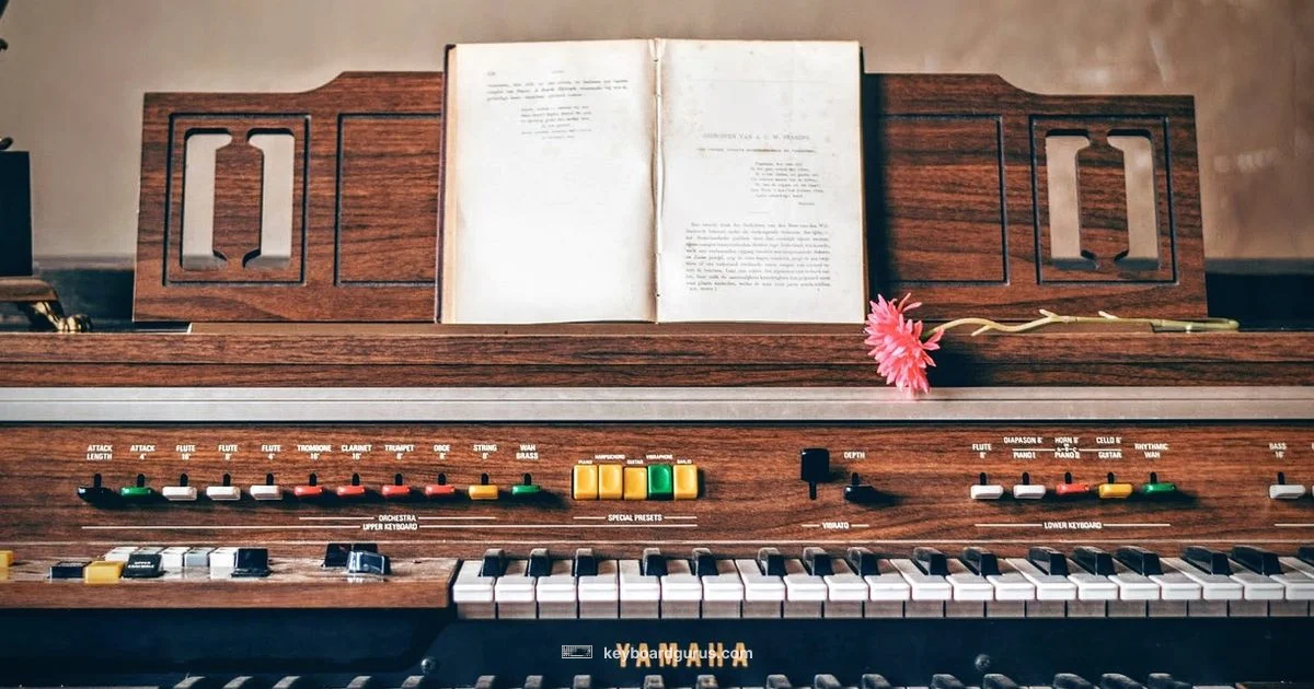 Right Size for Learning - Keyboard Gurus