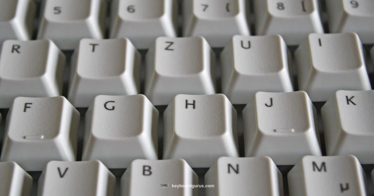 Keyboard Shopping Guide - Keyboard Gurus