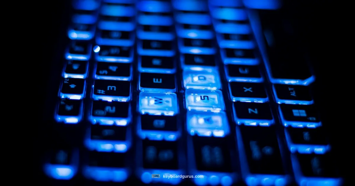 Dell Keyboard Backlight - Keyboard Gurus