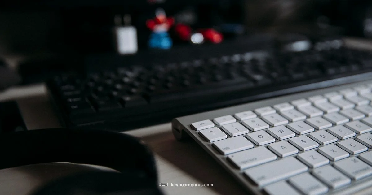 Keyboard Size Guide - Keyboard Gurus