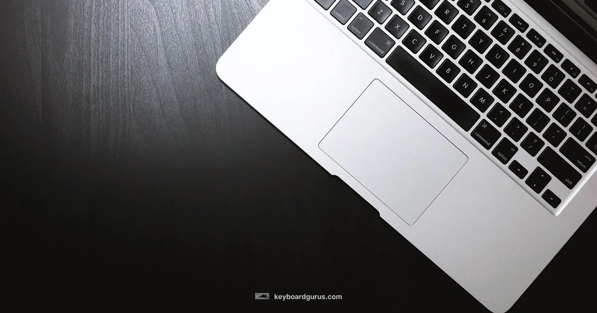 Safe Keyboard Cleaning - Keyboard Gurus